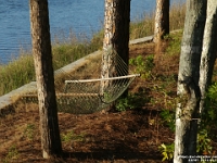 28767CrLe - Vacation at Kiawah Island, SC - Neighbour's hammock.JPG